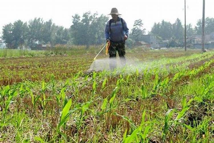 有机肥施肥后多久可以取样做肥力检测
