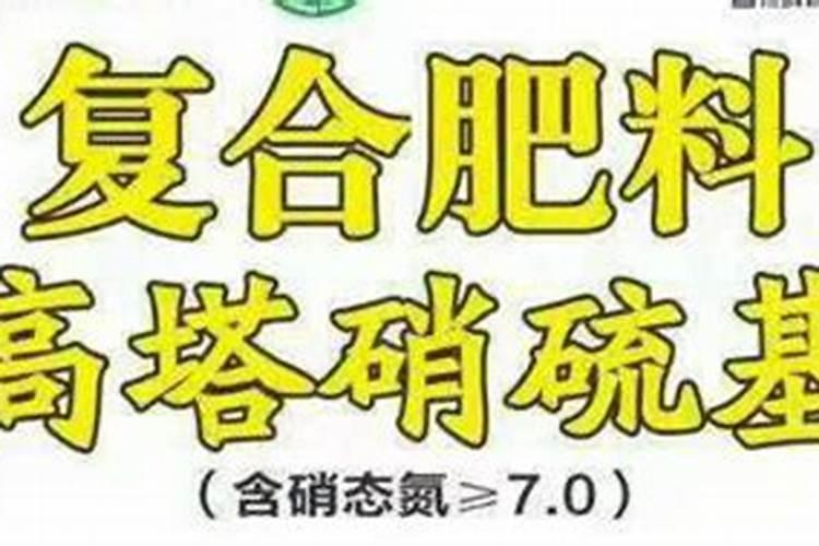 浇花用什么肥料浇最好