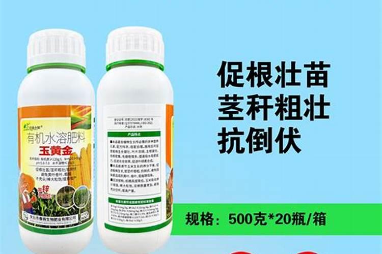 龟背竹施什么肥最好