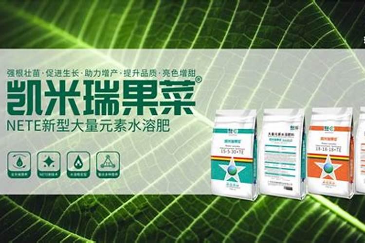 大葱育苗的方法有哪些？