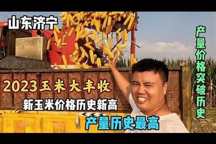 玉米缺硼有哪些防治措施？