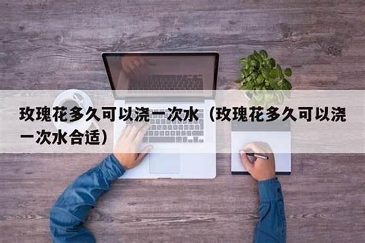 玫瑰一般哪几个月施肥