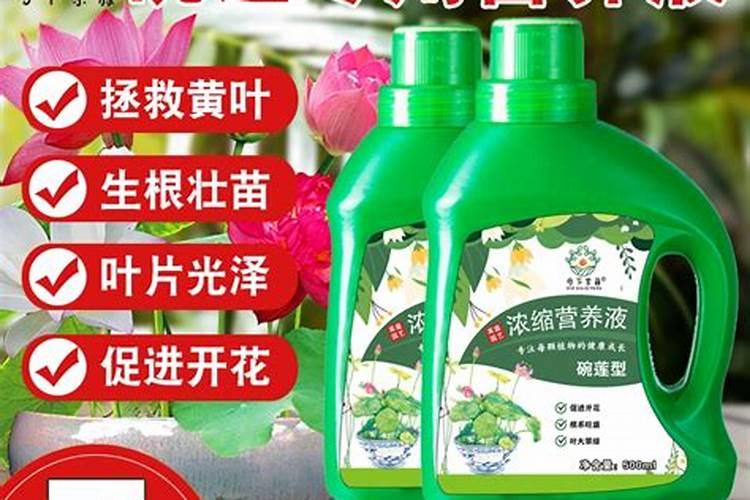 种植莲子需要用硫酸钾型复合肥还是用氯化钾型复合肥？