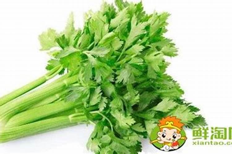 芹菜施什么肥长得好