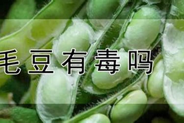 黑豆补肾,芸豆减肥,毛豆补钙这样的说法有科学依据吗？