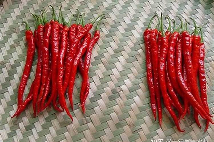 去摘辣子之前需要筹备什么