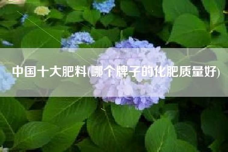 广西水溶肥生产厂家