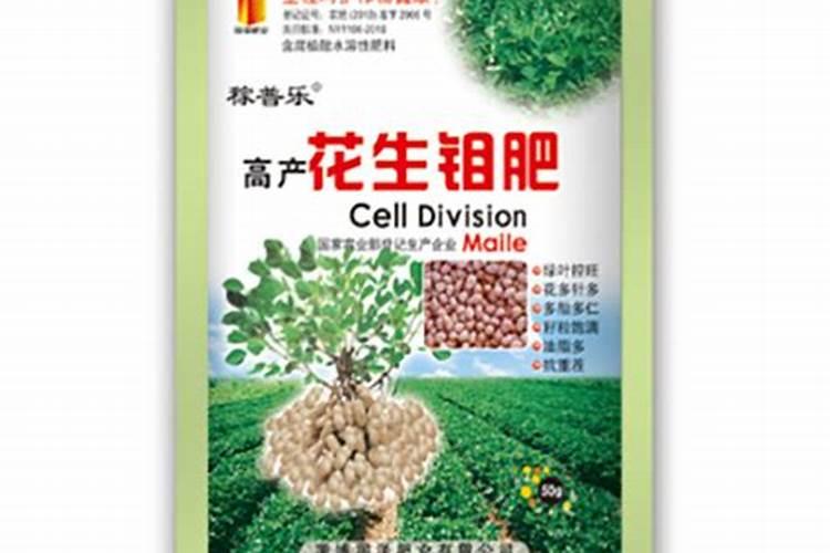 花生喷施硼肥的最佳时间 什么时候喷施最好