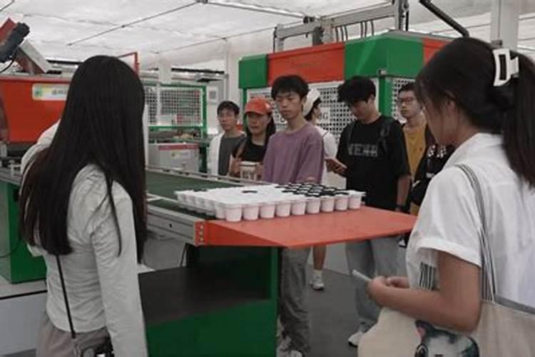 小麦用什么叶面肥好