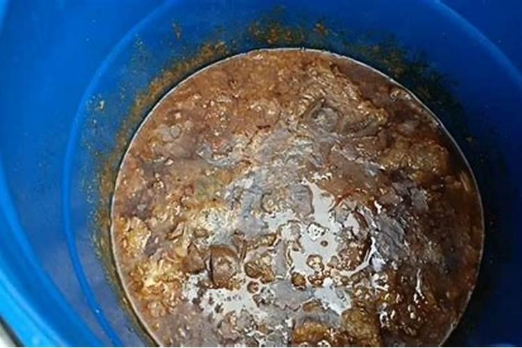 菜叶怎么发酵成肥料