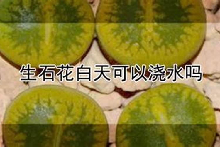 水溶性化肥旱地怎样施用