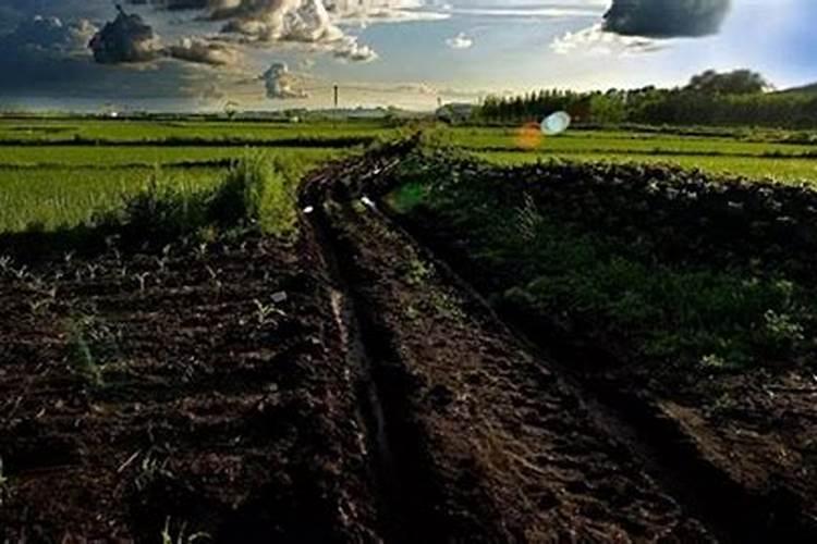 东北黑土为什么肥沃