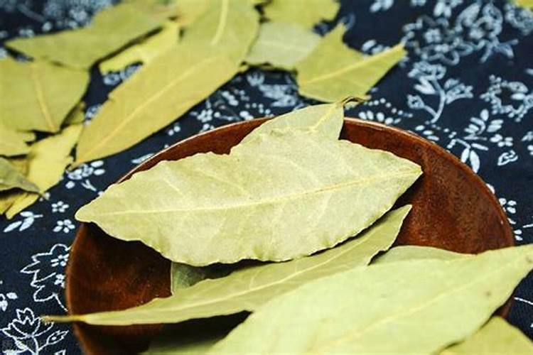 香樟树叶可以作为腐叶土的原料吗？