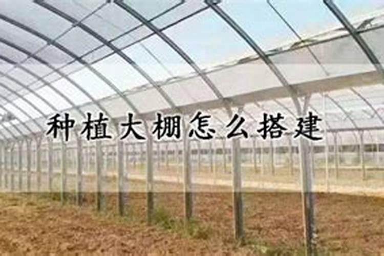 甜菜是忌氯作物吗