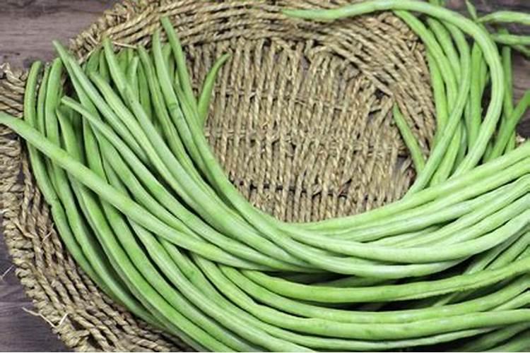 种植豆角应该选用怎样的肥料？