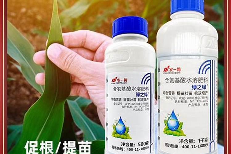 为什么要打叶面肥？很多人以为是激素,不敢吃打过叶面肥的蔬菜