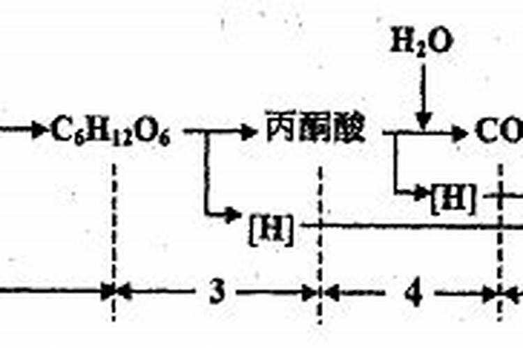 农家肥与化肥的优缺点