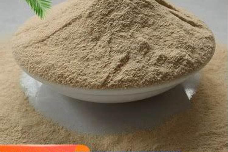 西红柿溃疡病用什么药剂治疗