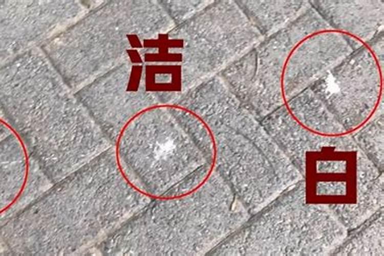 朱顶红用什么盆养殖