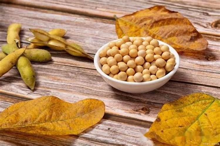 大豆开花期打什么叶面肥好 大豆用什么肥