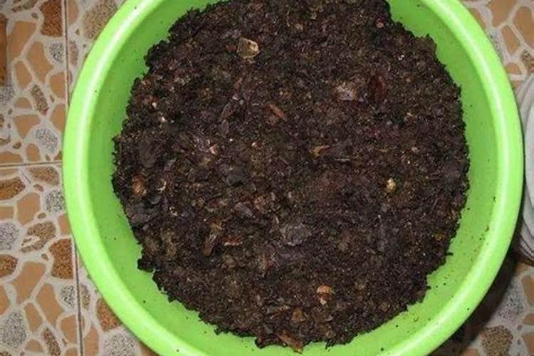 瓜果蔬菜喷施叶面肥有什么作用？