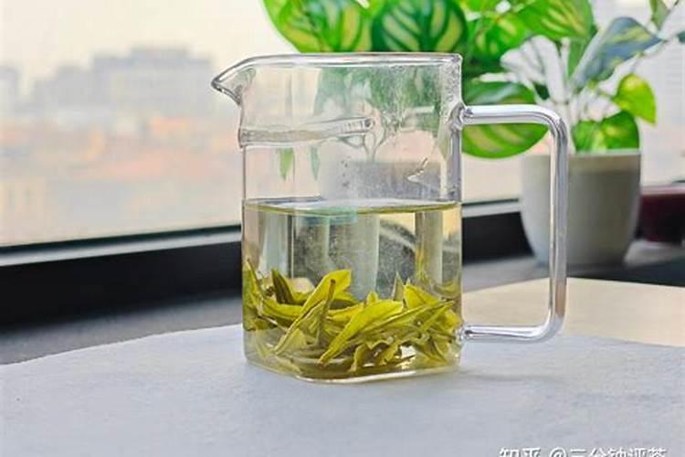 白茶怎么种植