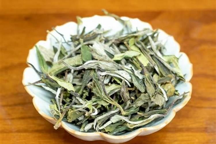 白茶种植技术