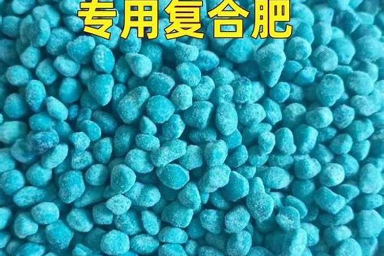 花卉肥料通用花肥 月季花最好的肥料