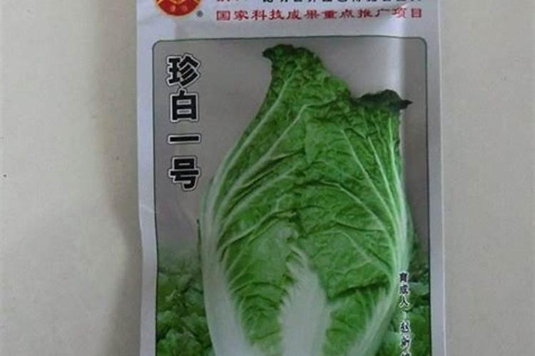 海口哪里买特产比较便宜？