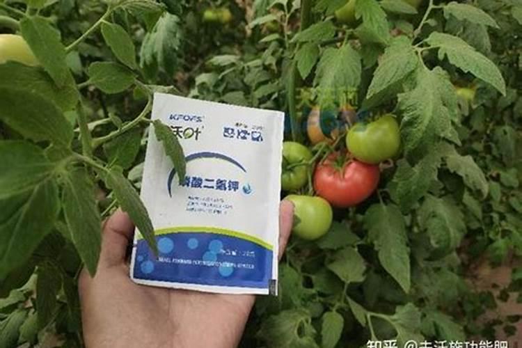 磷酸二氢钾生根配方