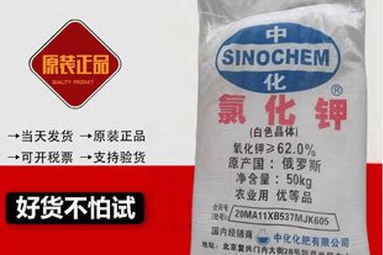 双色地膜有什么好处,种玉米用双色地膜能增产吗