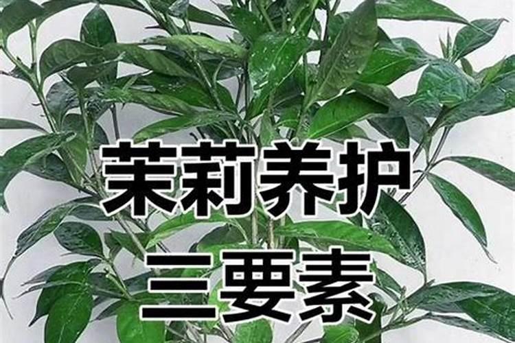 酸性土壤用什么肥料合适？