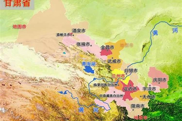 茶花怎么进行施肥植株枝繁叶茂开花多