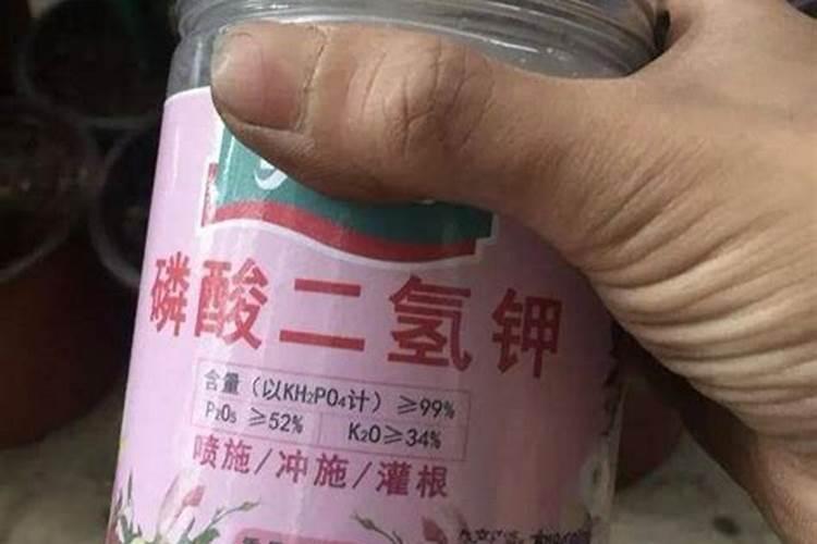 磷酸二氢钾喷叶好还是灌根好
