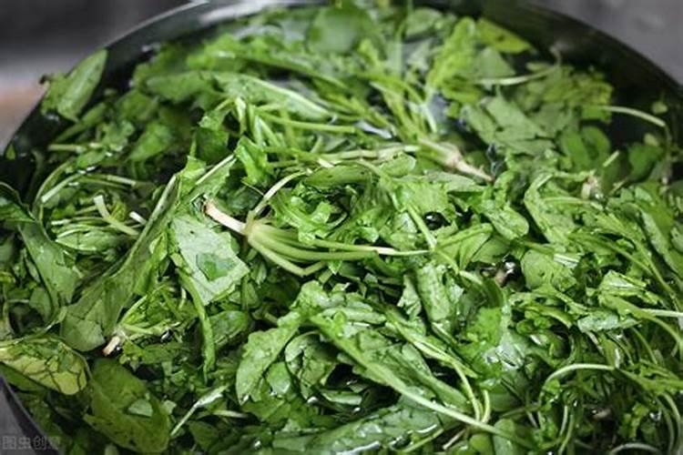 荠菜多久施一次肥