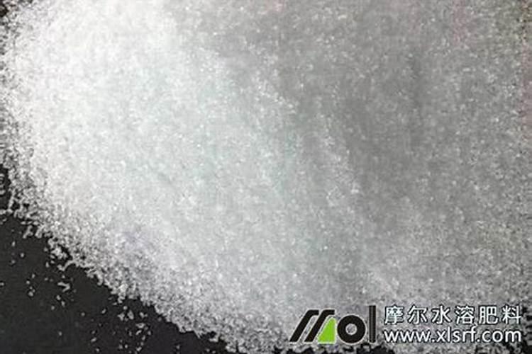 水培植物可以用水溶肥吗