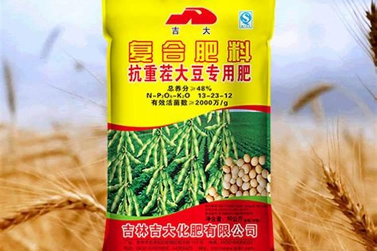 桔子树的施肥技巧桔子树怎样施肥