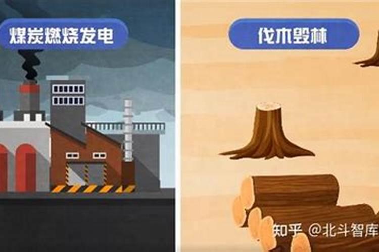 绿江边前枝叶动(猜水果)？