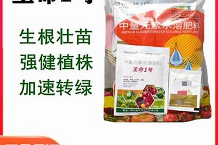 蓝莓施什么肥好？