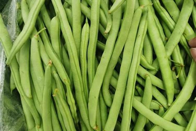 无筋豆施什么肥最好