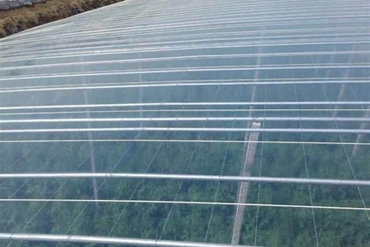 在河南建一个占地一亩的温室蔬菜大棚需要多少钱？