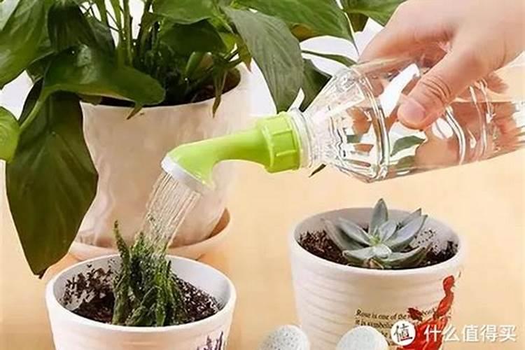 葡萄施钾效果好