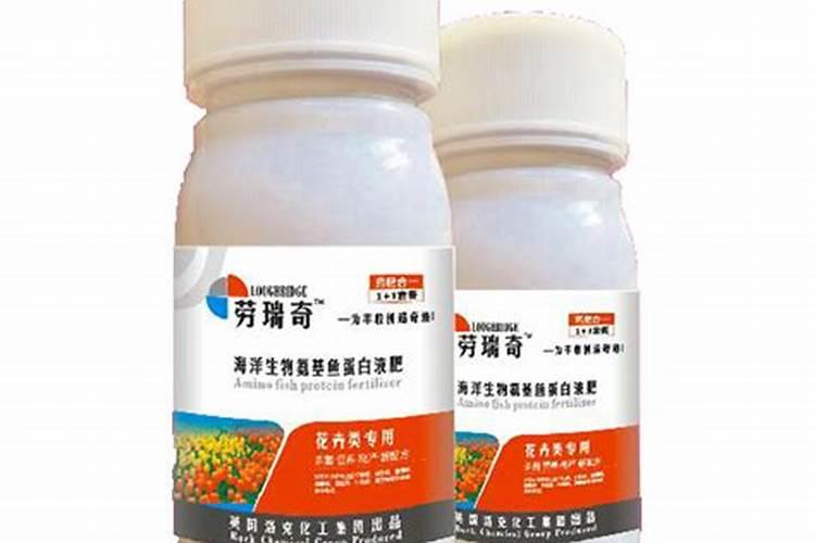 醋蛾子就是红茶菌吗？