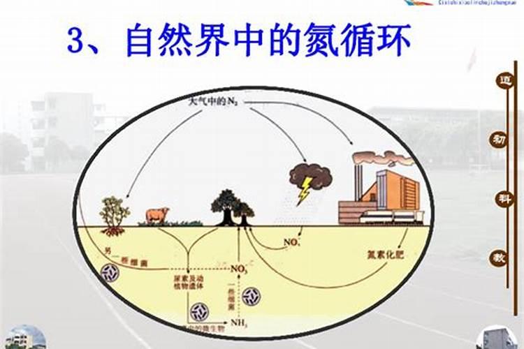 氮肥利用了氮气的什么性质,氮肥是什么肥