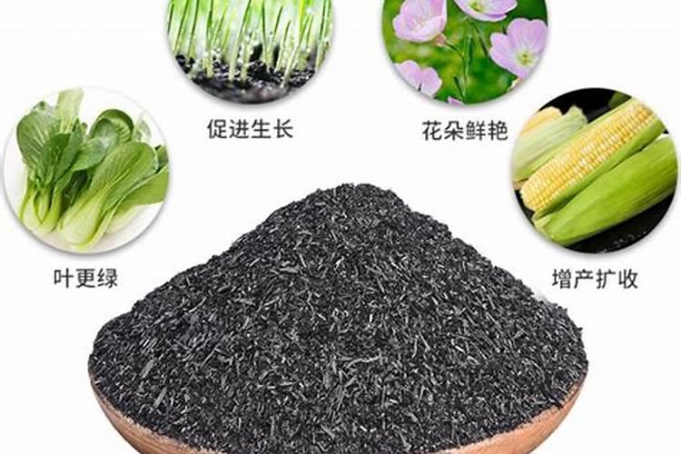 稻壳灰可以做肥料吗