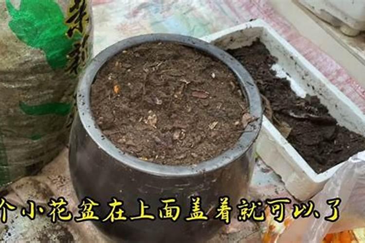 快速自制氮肥的方法