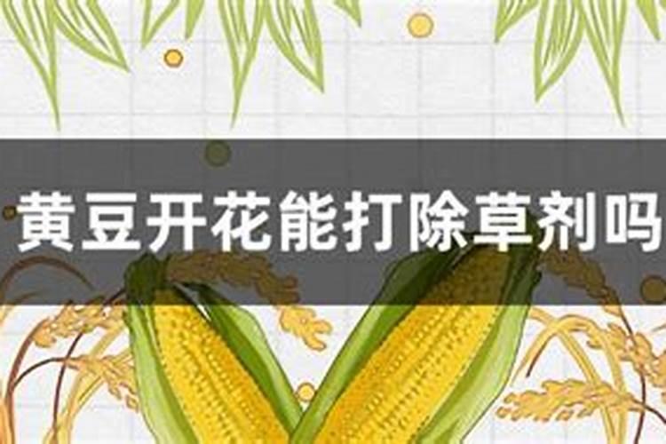 大豆打完除草剂多久可以打叶面肥水？