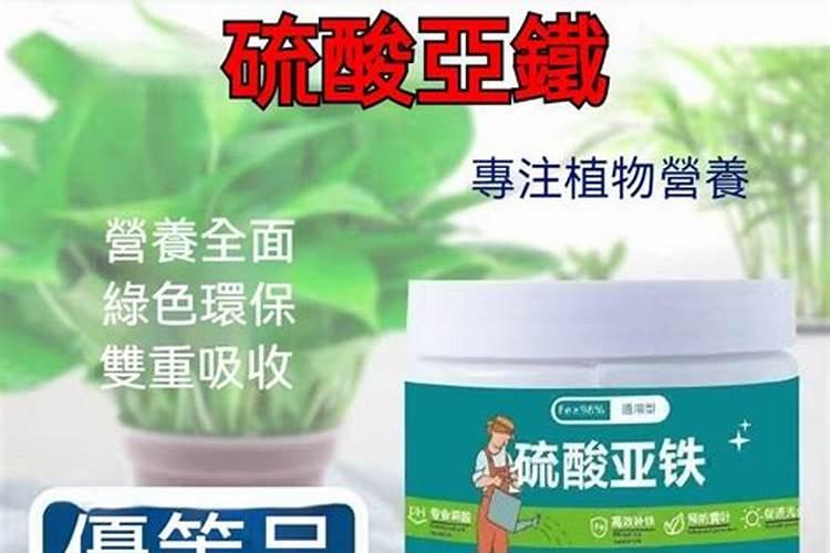 栀子花花苞期怎么施肥