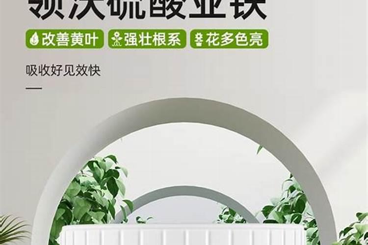 什么花该浇什么肥料.