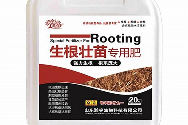 种花生必须要施肥么？